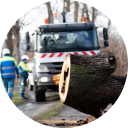Emergency Tree Services - SalasTree
