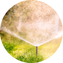 Tree Watering and Irrigation - SalasTree